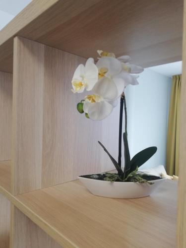 Apartment Mymara No3