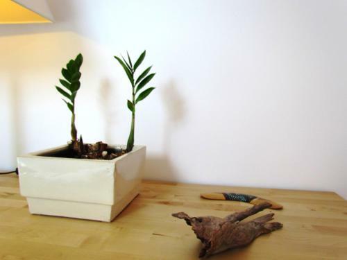 Apartamento Cosy & Spacious Apt. Ben?