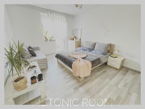 Apartamento Metonic Room