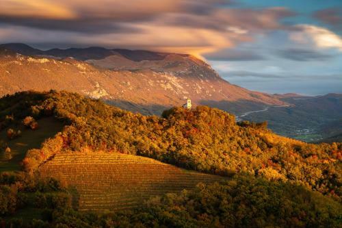 Apartamento Villa Irena Charming Gem Located In Vipava Valley