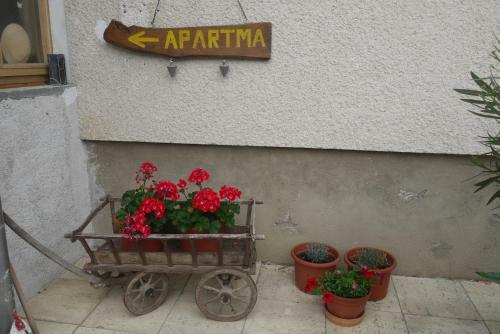 Hostal Apartments - Glamping Encijan