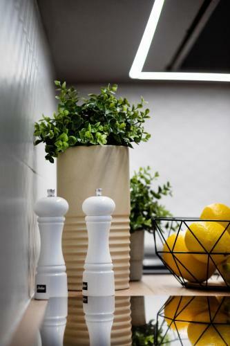Brivibas House Design Apartments In City Center