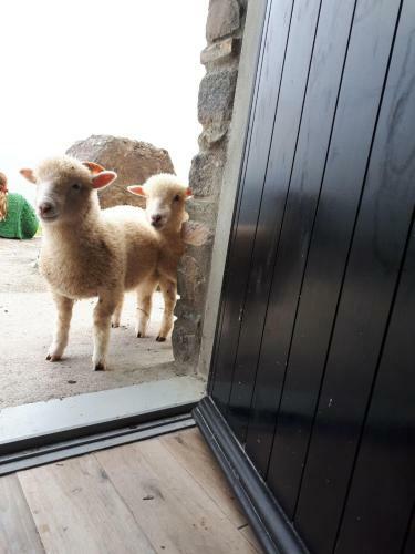 Agroturismo Old Irish Farmhouse