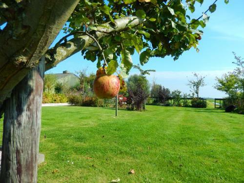 Bed & Breakfast Villa Waterland