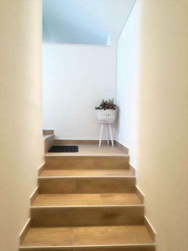 Apartment Kokoro
