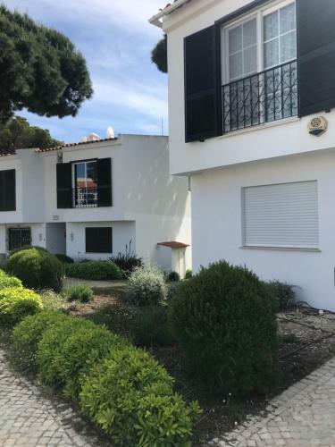 Sunny Acacia Apartment