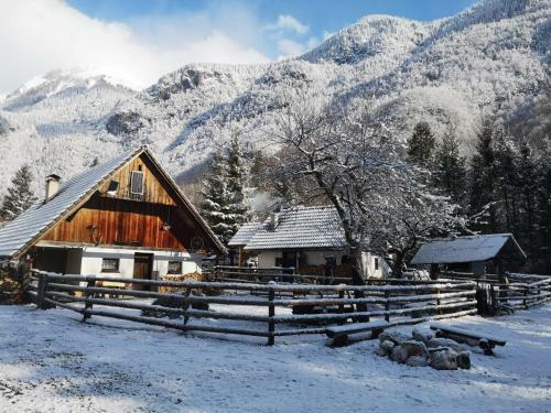 Bohinj House Lizina Hi?ka