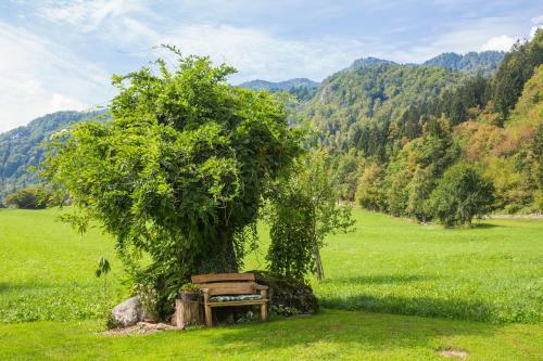 Apartamento Green Paradise