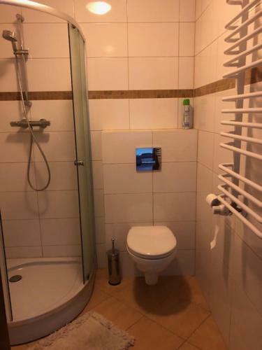 Apartamento Willa Suszki