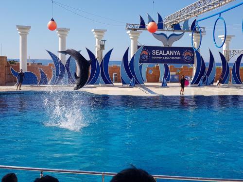 Apartamento Granada City Alanya Luxury Appartment 800? ?? ????? ?????????
