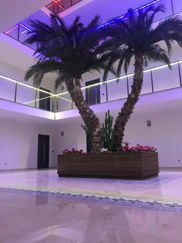 Apartamento Alanya Kirlal?k Daireler