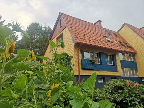 Apartamento Mari? Studija