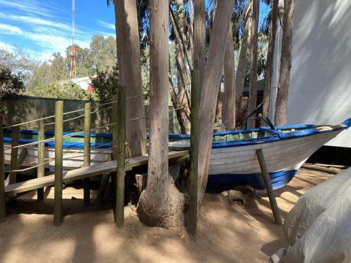 Apartamento Depto En Costa Algarrobo Norte Con Wifi