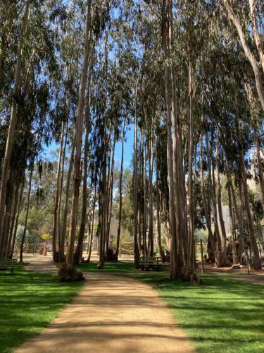 Apartamento Depto En Costa Algarrobo Norte Con Wifi
