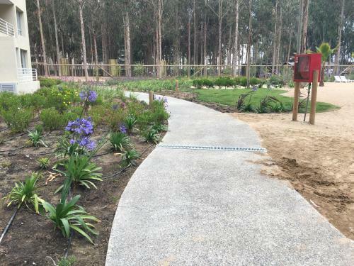 Apartamento Departamento Algarrobo Los Olivos