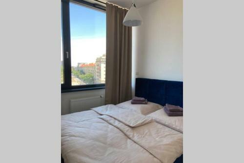 Modern 2-room Apartment In The City Center