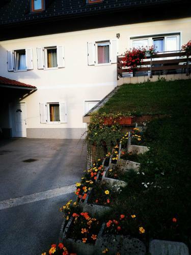 Hostal Apartmaji Pri Kokolu