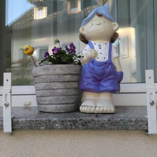 Hostal Apartmaji Pri Kokolu