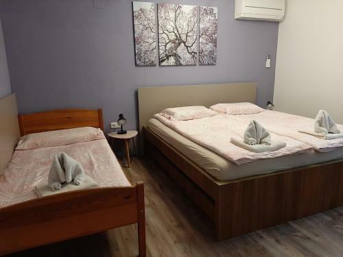 Apartma ?irovnik