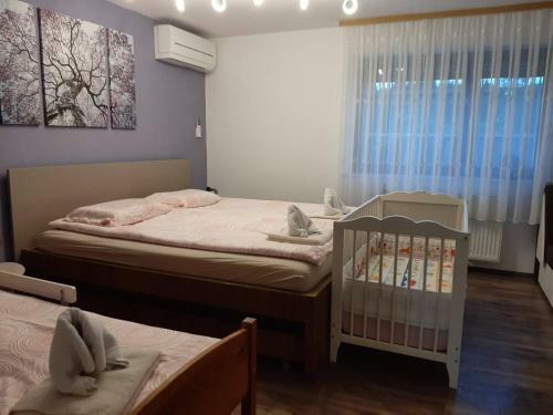 Apartma ?irovnik