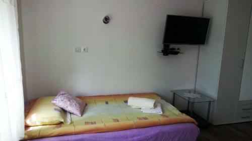 Apartma ?irovnik