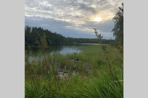 Sommarstugan