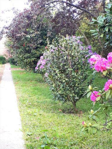 Bed & Breakfast Quinta D'av� Am�lia
