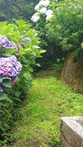 Bed & Breakfast Quinta D'av� Am�lia