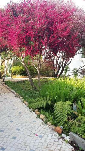 Bed & Breakfast Quinta D'av� Am�lia