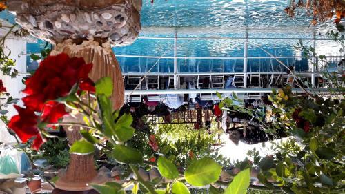 Agroturismo Kapor Organik Ciftlik Evi