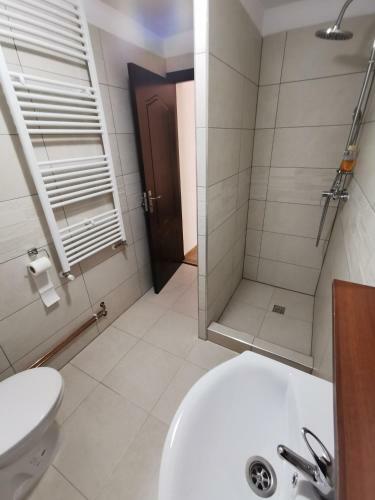 Hostal Pensiunea Casa Firuta Borsa
