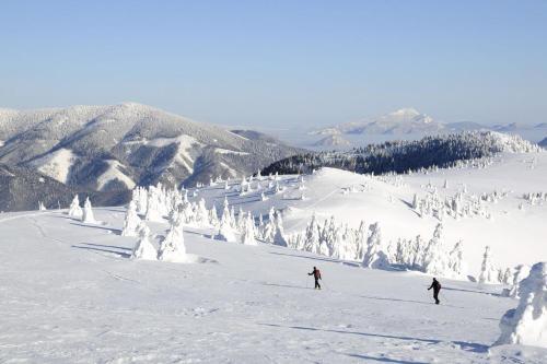 Apartamento Ad ?afr�n ?. 25