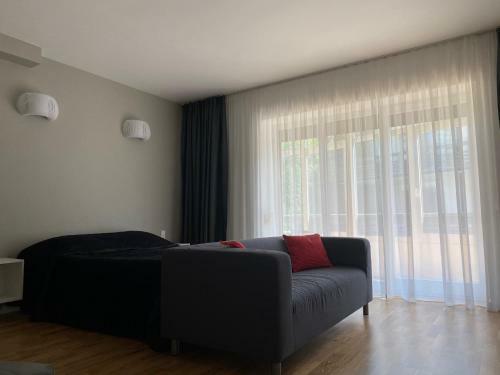 Apartamentai: Paj?rio Sm?lis