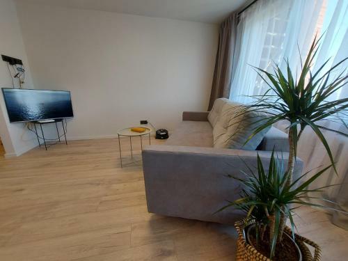 2 Bedrooms Apartment, City Center, With Balconies