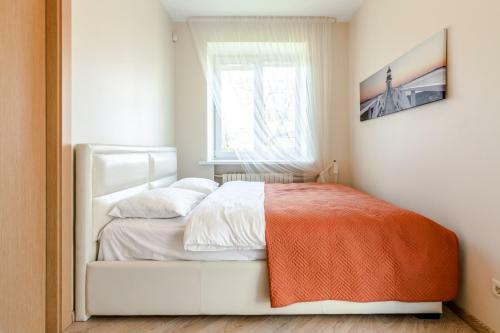 Vytauto Street View Apartment