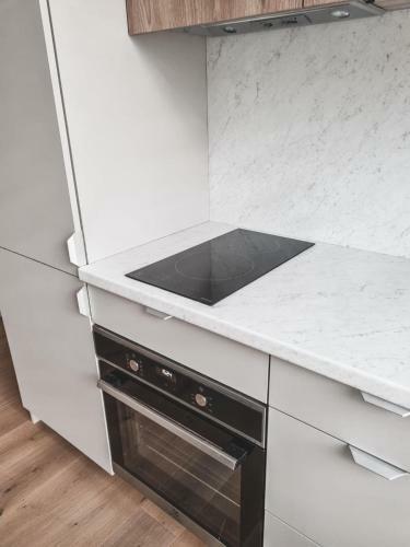 Apartamento V12 Palanga