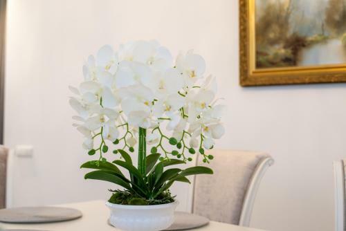 Apartamento Botanical Park Villa