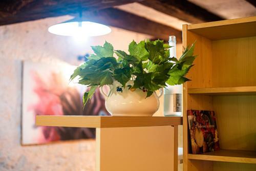 Agroturismo Vintage House Podliparska