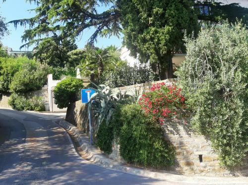Apartment Vita
