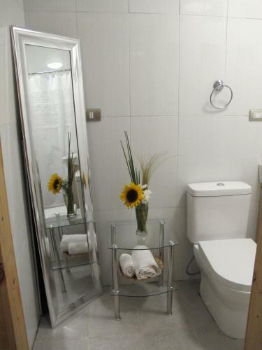 Apartamentos Kennedy Sanitizados Chill�n 2
