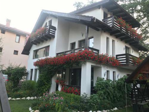 Hostal Relax