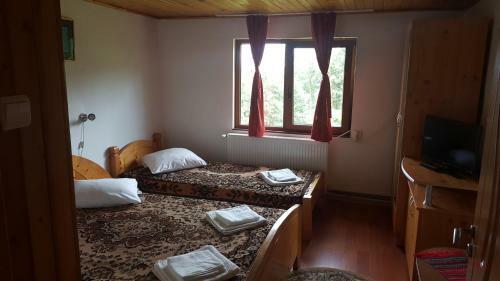 Hostal Pensiunea Dealul Frumos