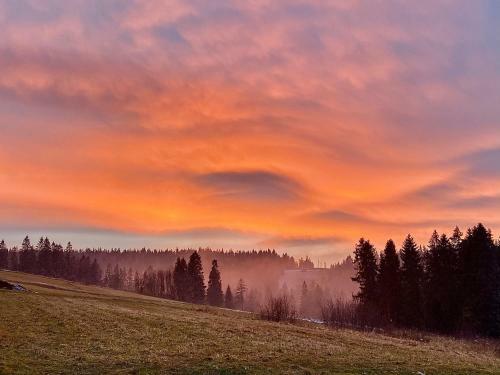 Domek W G�rach Stacja Wierchowa 972 M Npm