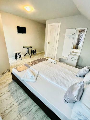 Hostal Pensiunea Drago? Vod? Breb