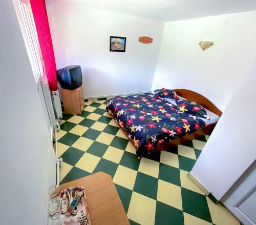 Hostal Pensiunea Ramona