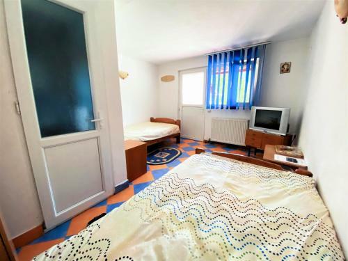 Hostal Pensiunea Ramona