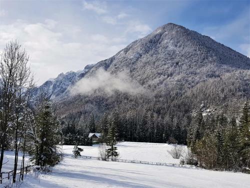 Mountain Peaks Apartment With Sauna