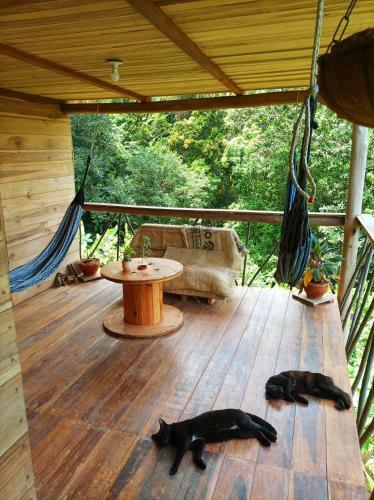Lodge Finca La Selvita