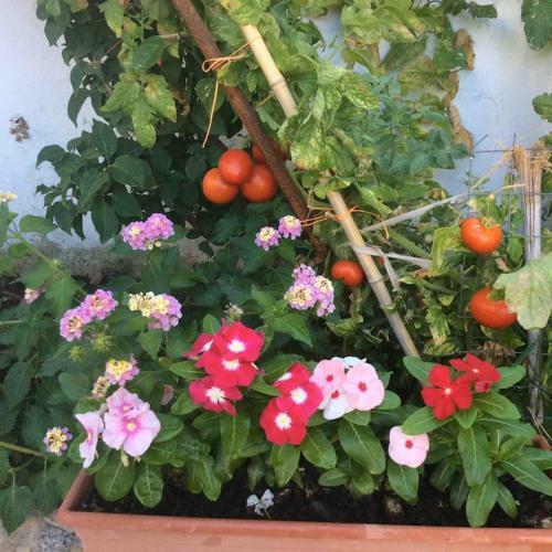Villa In G�kt�rkb�k