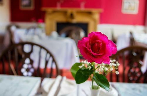 Bed & Breakfast St Raphael Guest House